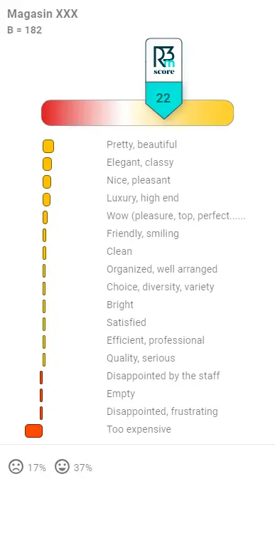 Results example of a R3MSCORE analysis where score is 22 and satisfaction 37% 